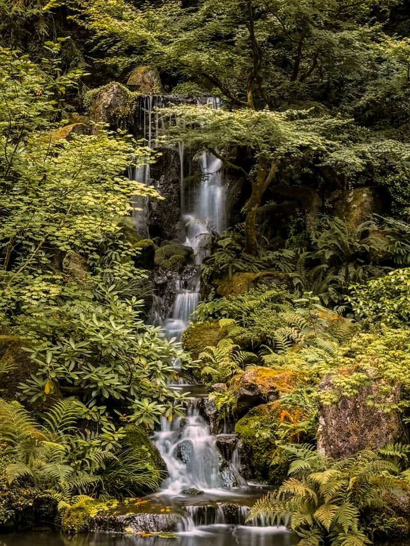 Portland Japanese Garden - Image 1