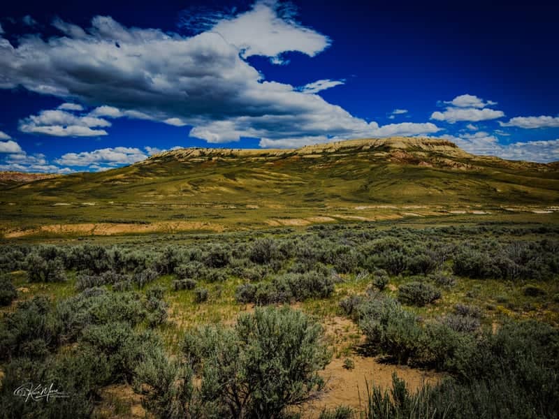 Fossil Butte National Monument Area - Image 1