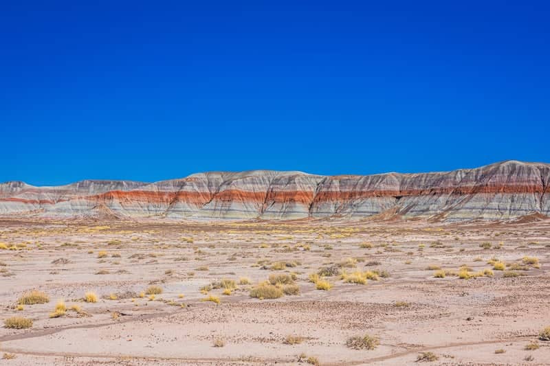 Petrified Forest National Park - Painted Desert - Image 1