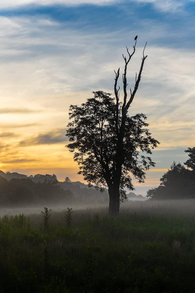 Boone Valley Overlook - Image 1
