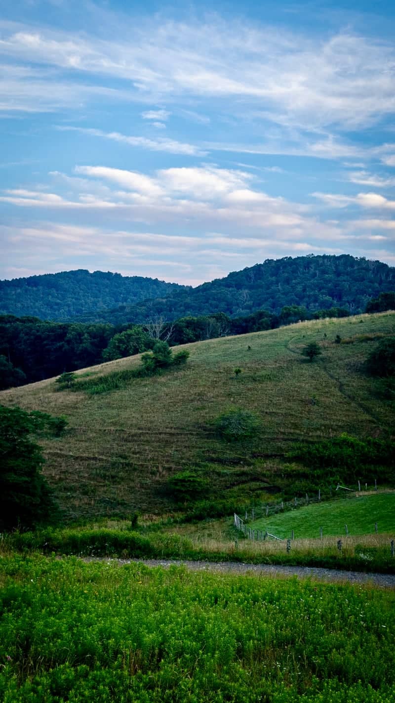 Blue Ridge Parkway Rolling Hills - Image 1