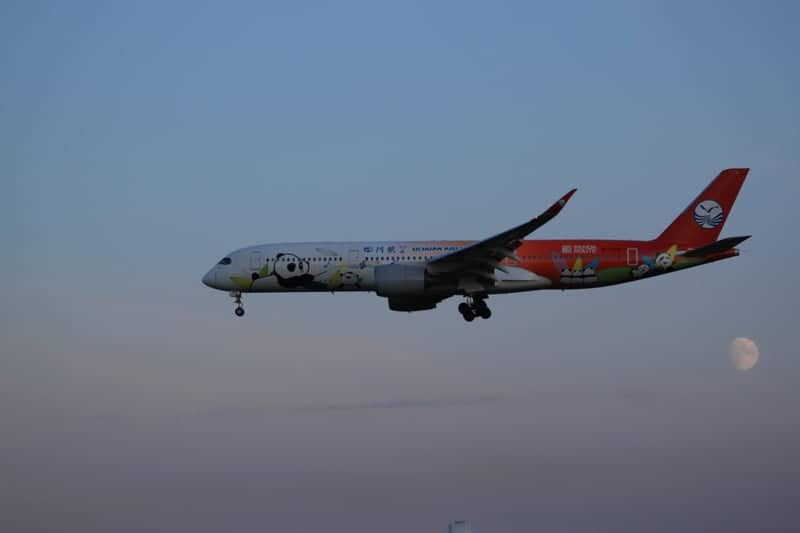 Sheremetyevo Airport Plane Spotting - Image 2