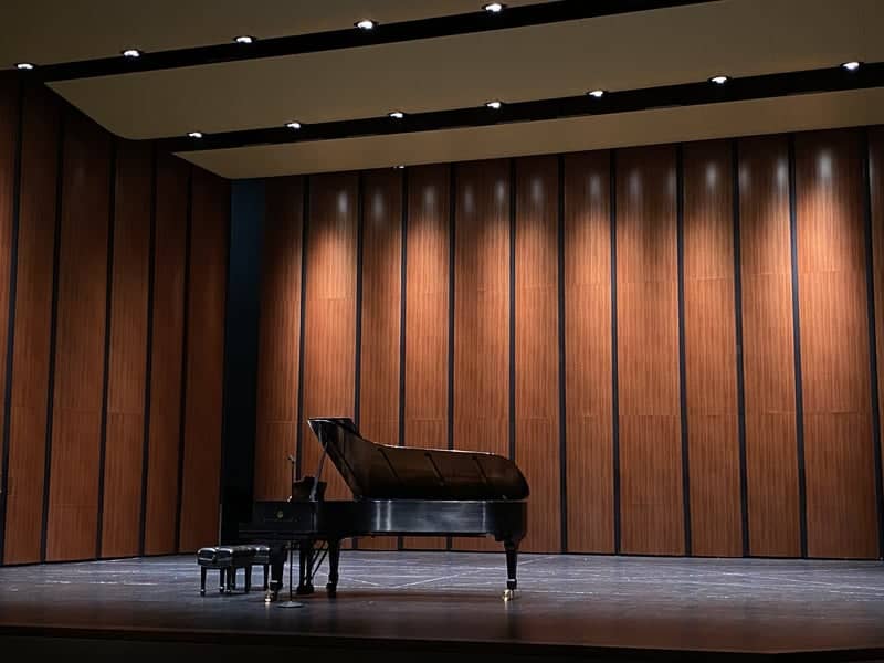 TSC Performing Arts Center - Image 1