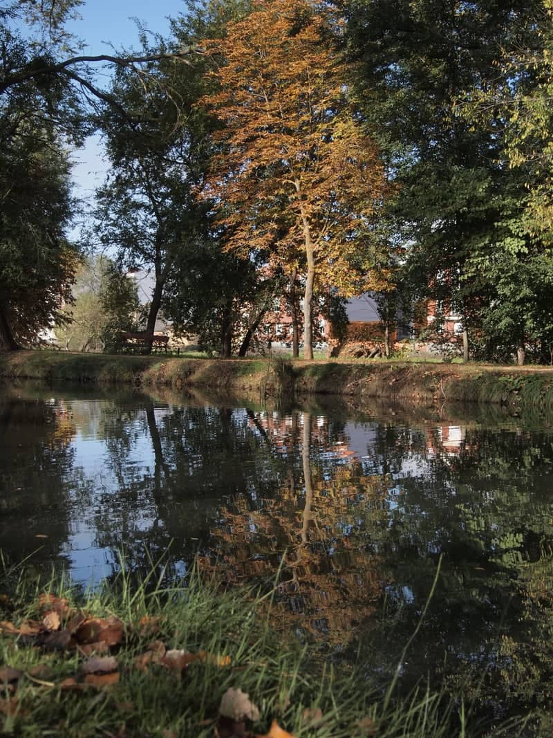 Canal de Castilla, Palencia - Image 1