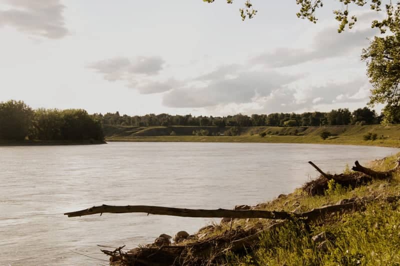 South Saskatchewan River at Strathcona Island Park - Image 1