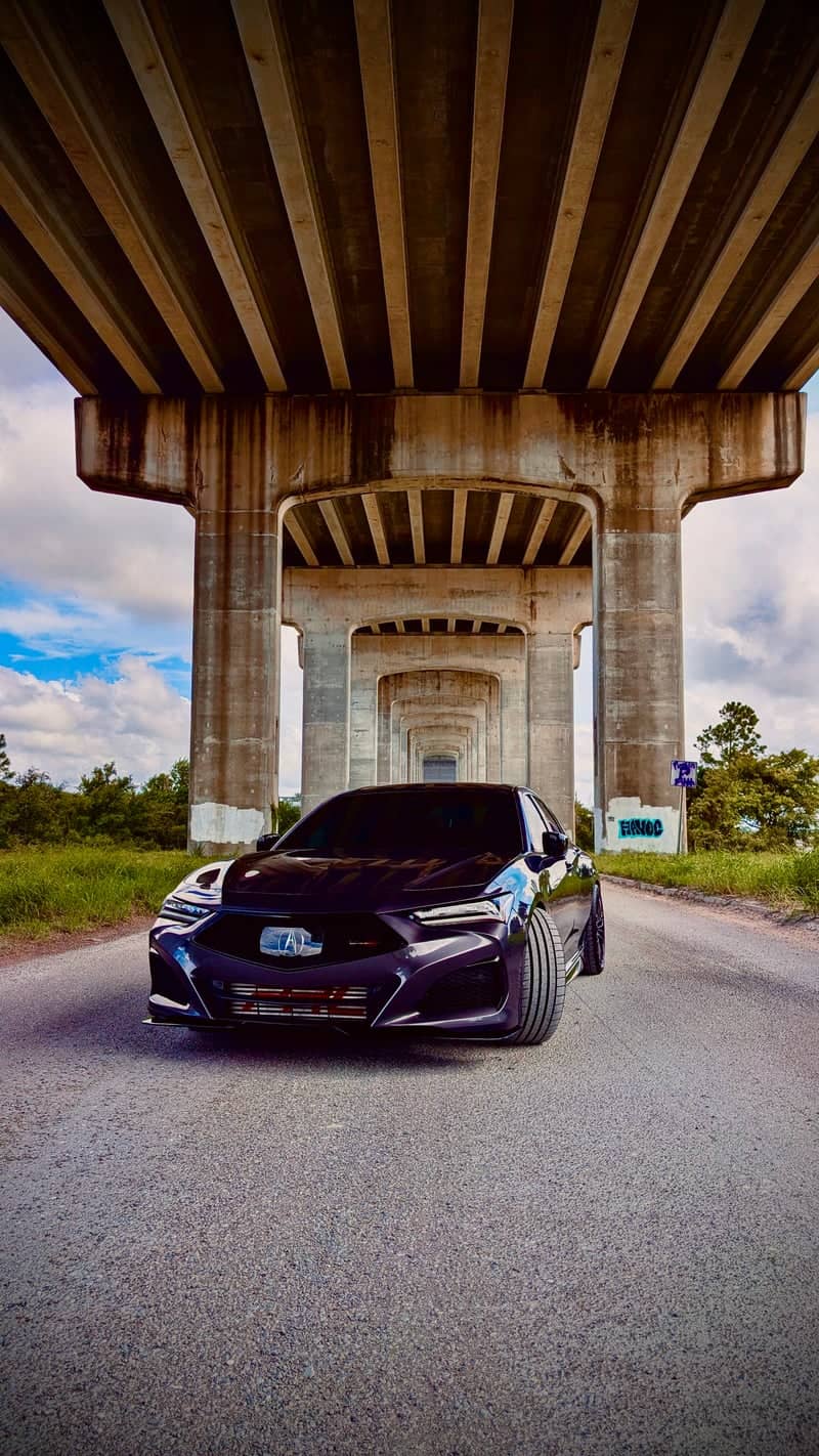 Dames Point Bridge Underpass - Image 1