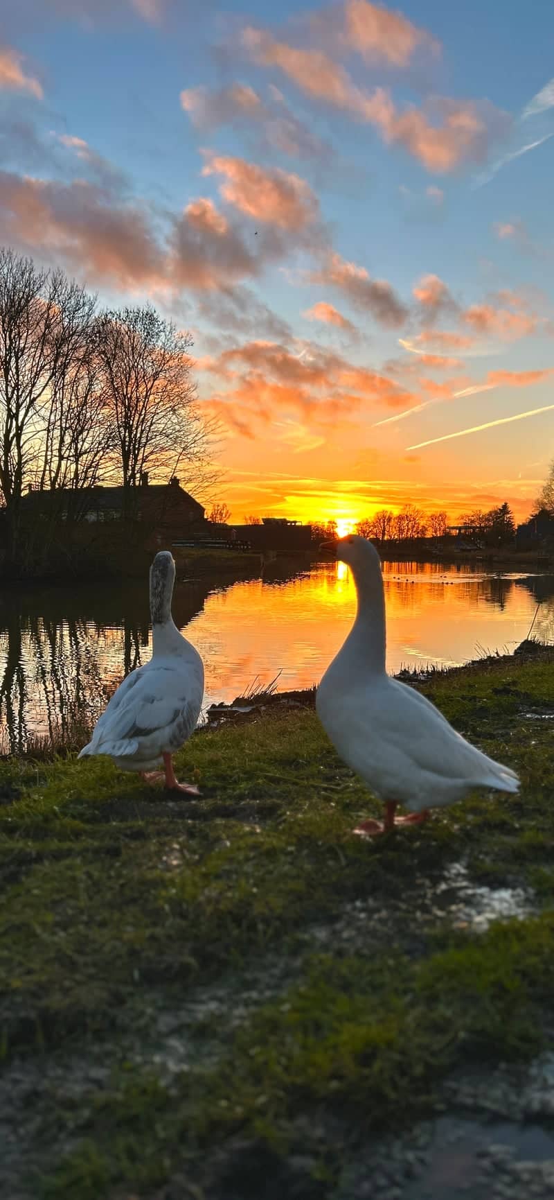 Appingedam Canal Sunset - Image 1