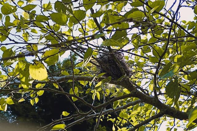 Botucatu Rural Nature Spot - Image 1