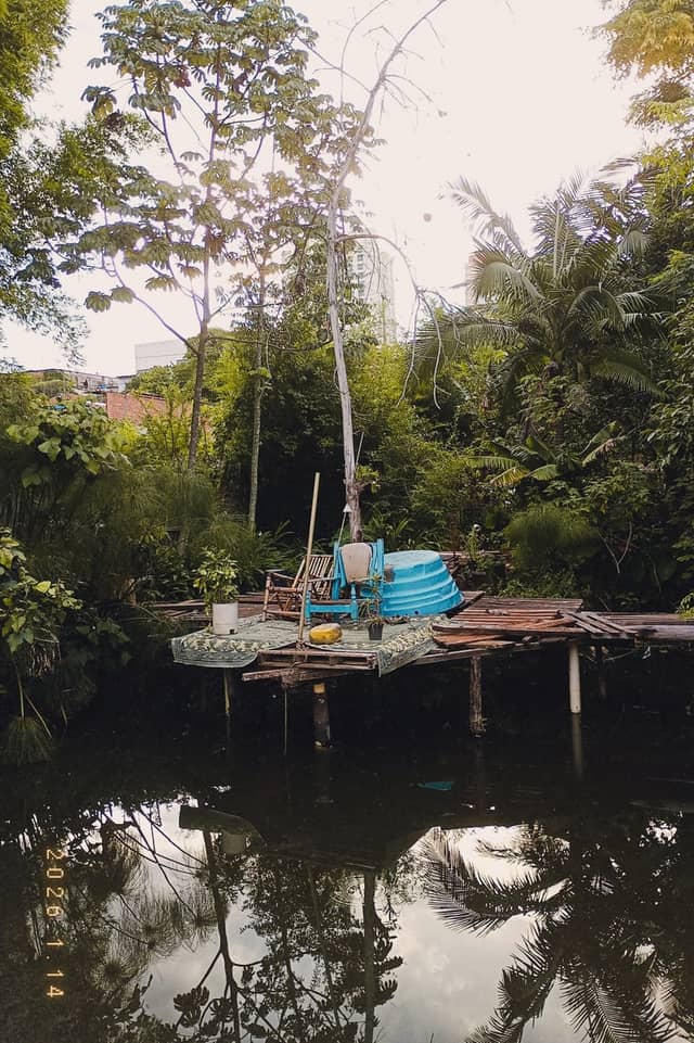 Tropical Garden Pond Deck - Image 1