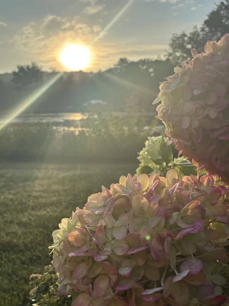 North Smithfield Garden Sunset - Image 1
