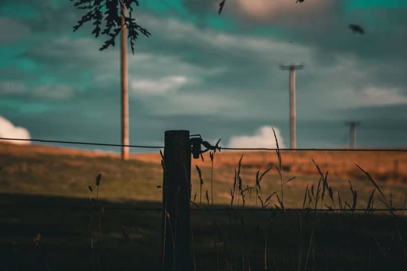 South Lanarkshire Rural Farmland - Image 1