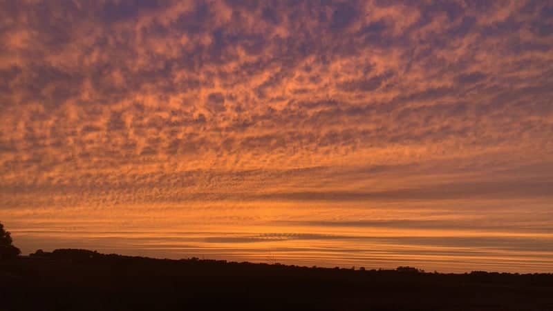 Kingstree Rural Horizon - Image 1