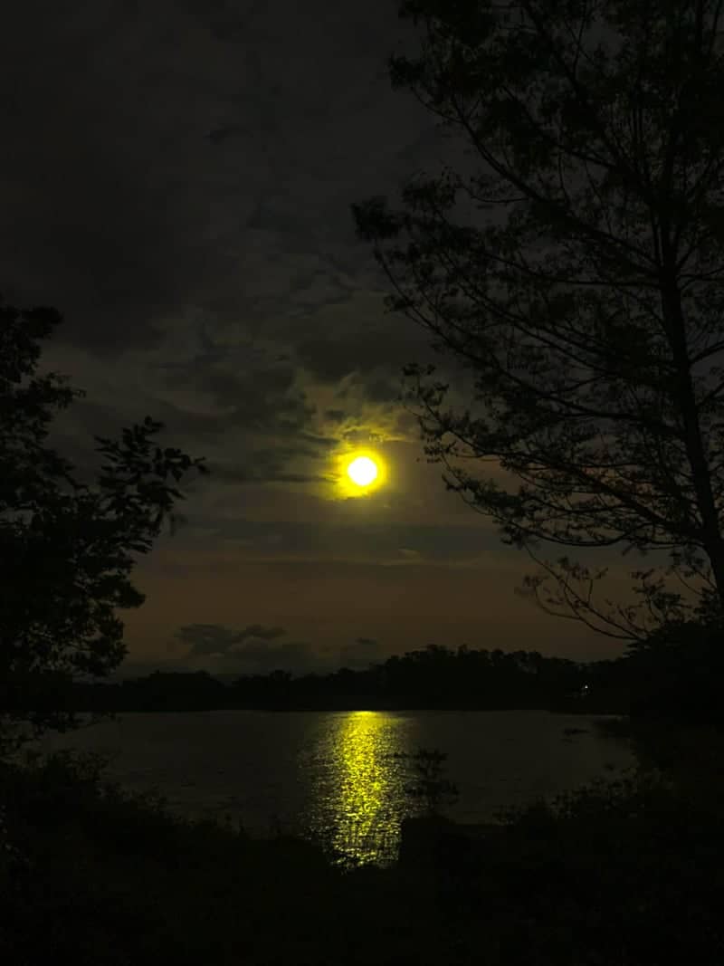 Pantabangan Lake Overlook - Image 1