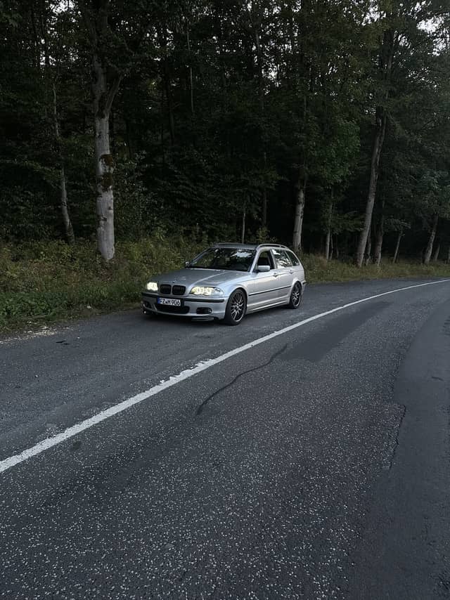 Knüllgebirge Forest Road - Image 1