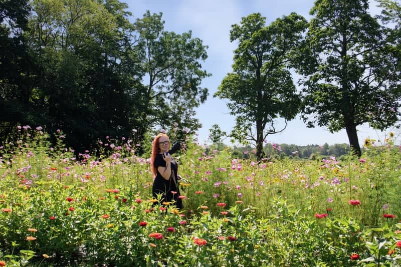 The Felt Estate Wildflower Field - Image 2