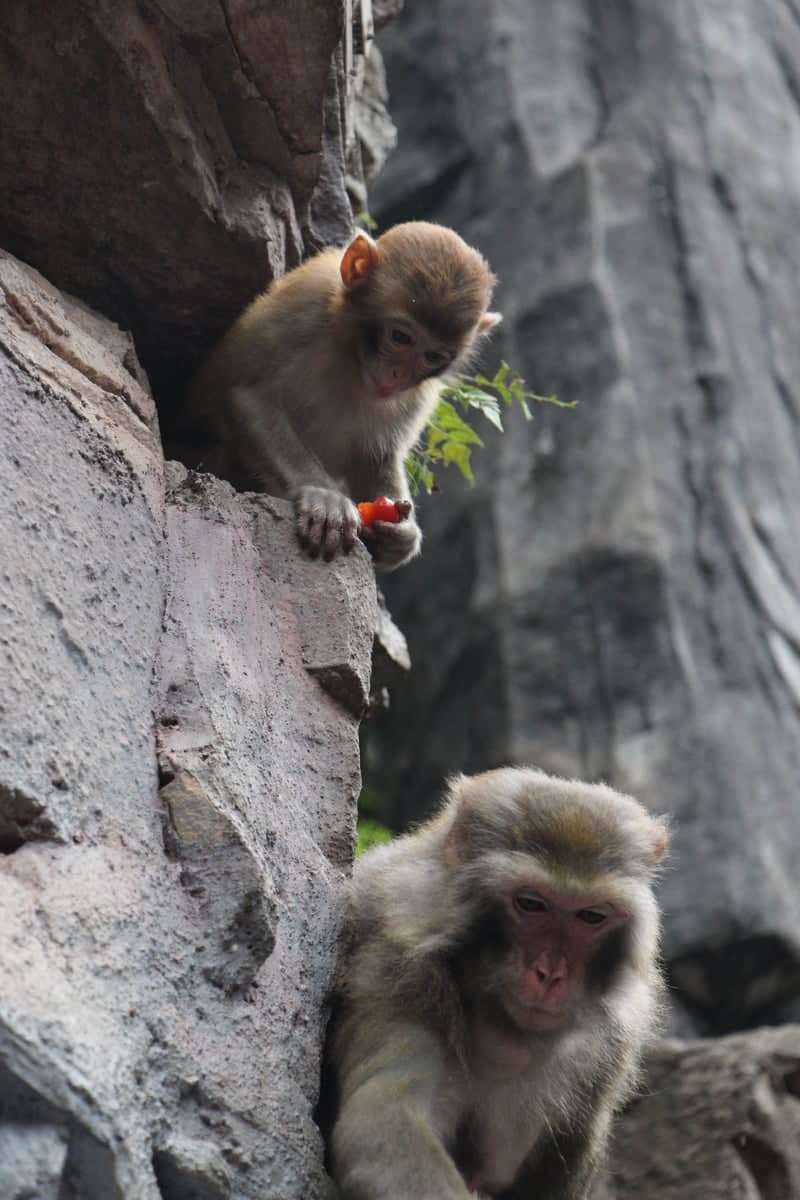 Zhangjiajie National Forest Park - Image 1