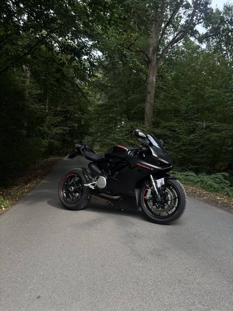 Forêt de Marchiennes Forest Road - Image 1