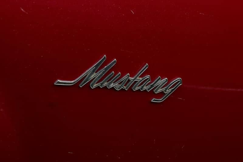Classic Mustang Detail - Image 1