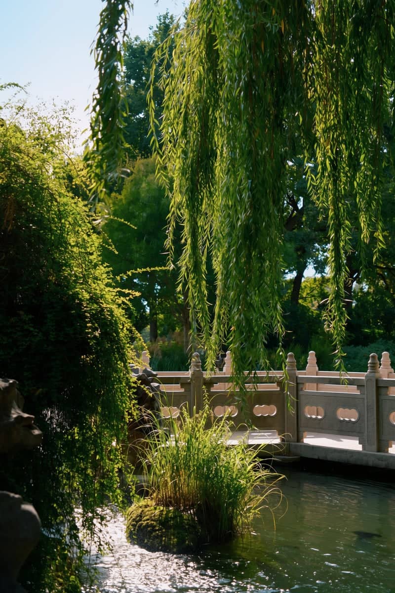 Chinese Garden at Luisenpark Mannheim - Image 1