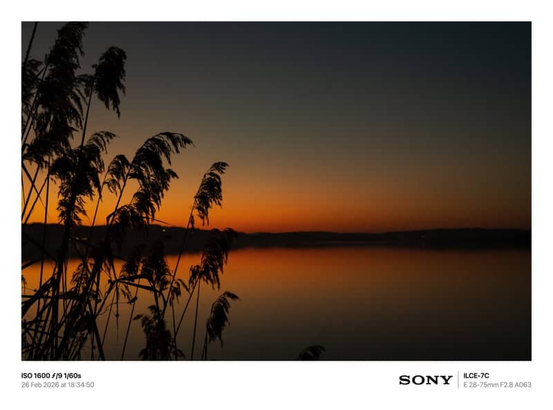 Lake Sempach Shoreline - Image 1
