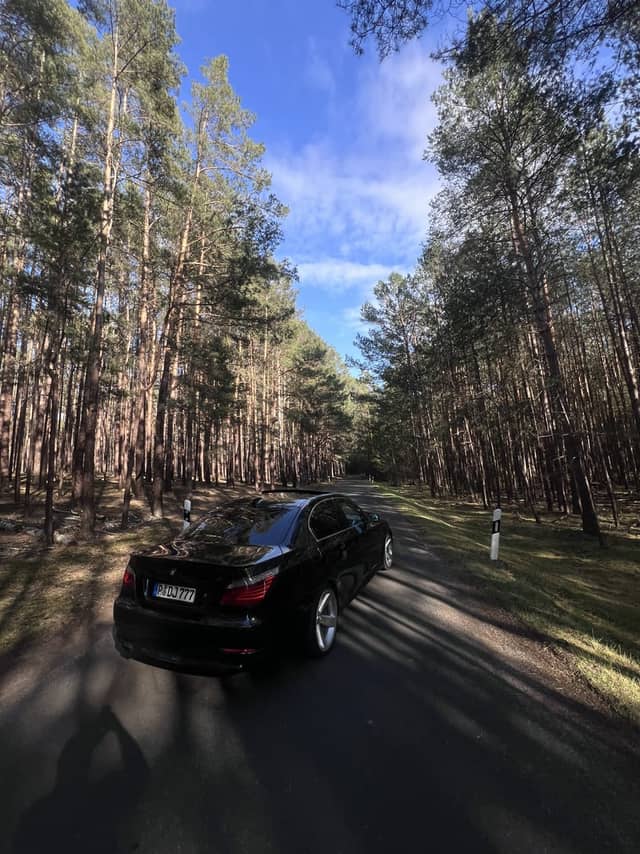 Hohenspringe Forest Road - Image 1