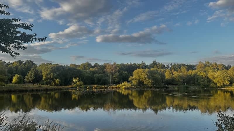 Touškov Pond - Image 1
