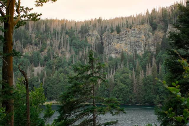 Feldsee Lake - Image 1