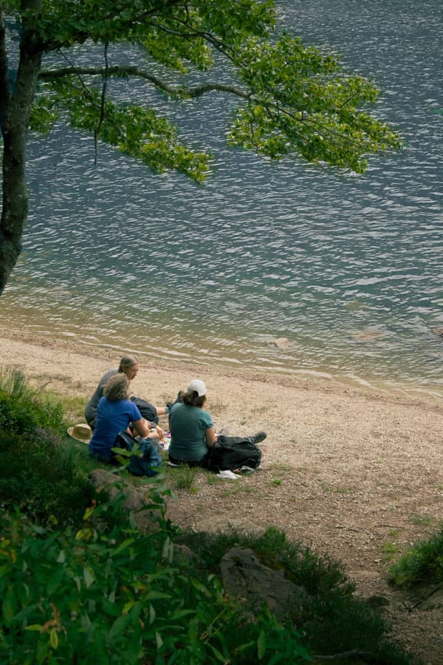 Feldsee Lake - Image 1