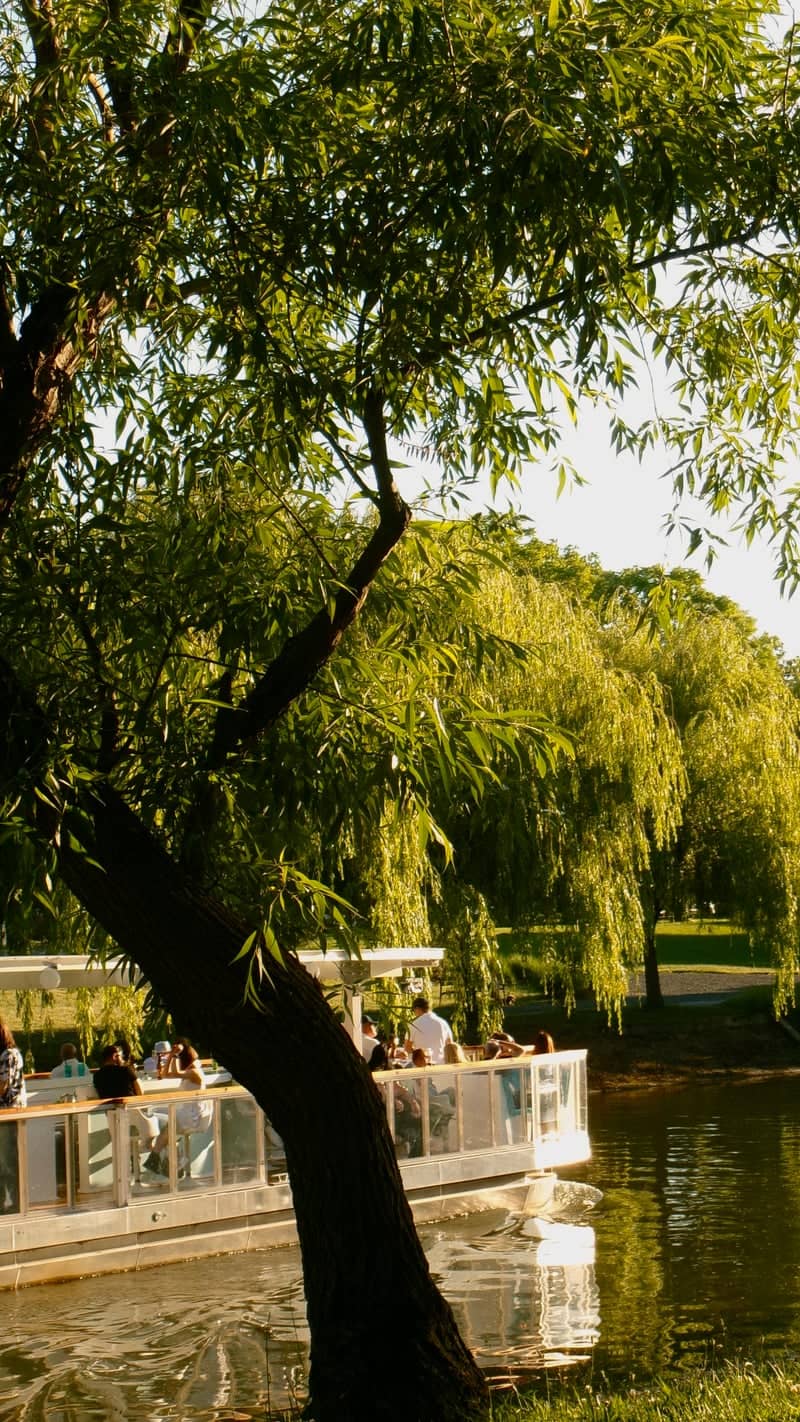Bega River Promenade - Image 1