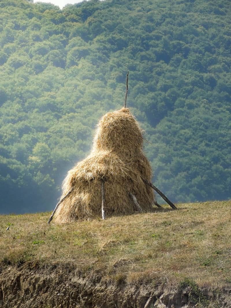 Traditional Haystacks of the Trascău Mountains - Image 1