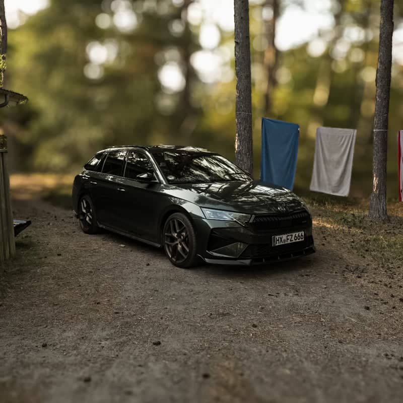 Bornholm Forest Clearing - Image 1