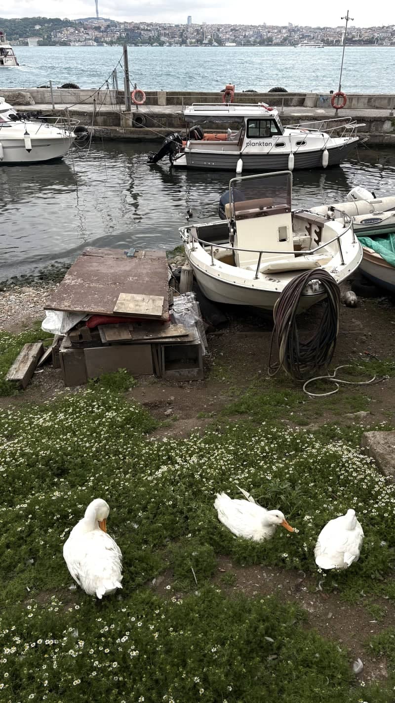 Kabataş Waterfront - Image 1