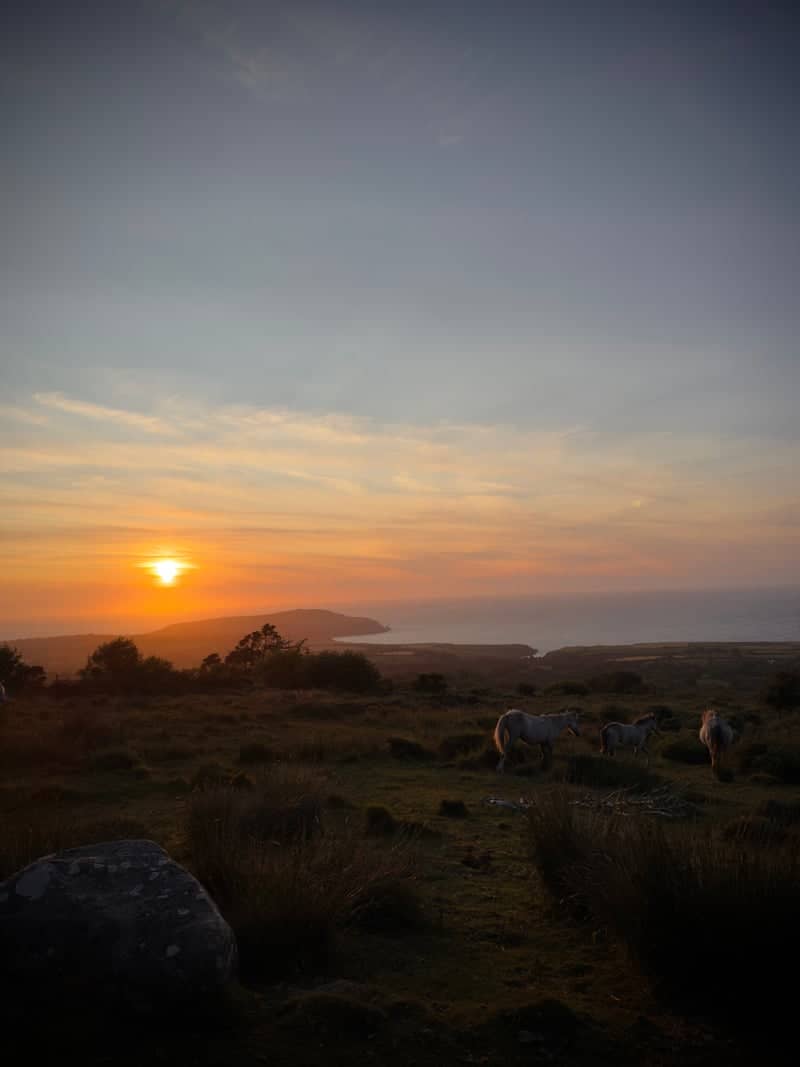 Dinas Head Sunset Overlook - Image 1