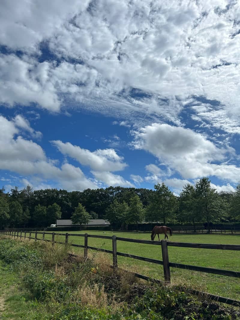 Nederweert Rural Pastures - Image 1
