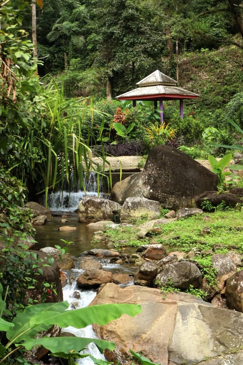 Langkawi Wildlife Park Gardens - Image 1