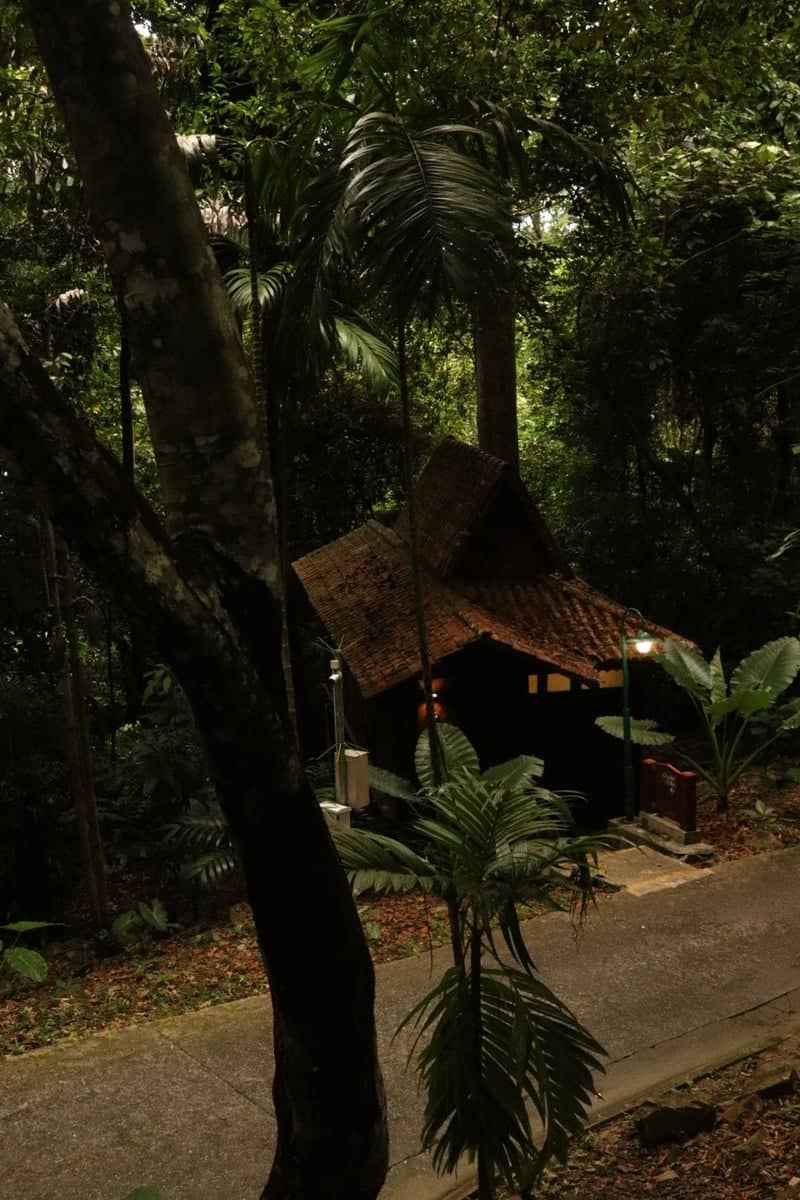 Rainforest Jungle Hut, Langkawi - Image 1