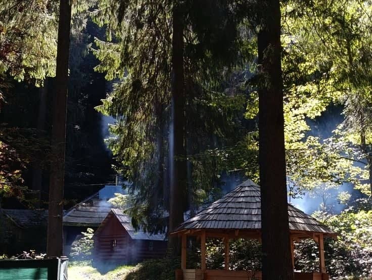 Synevyr National Nature Park Forest - Image 1