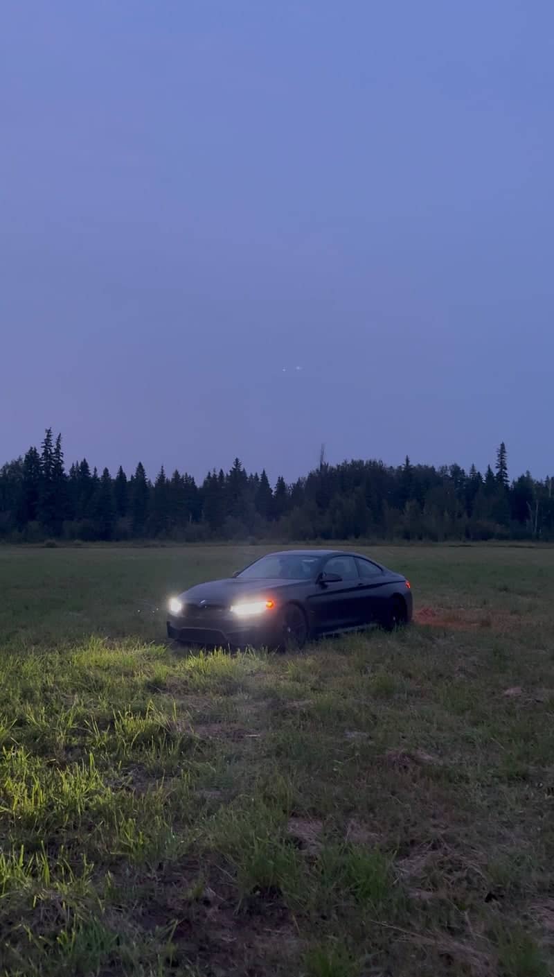 Alberta Forest Edge Field - Image 1