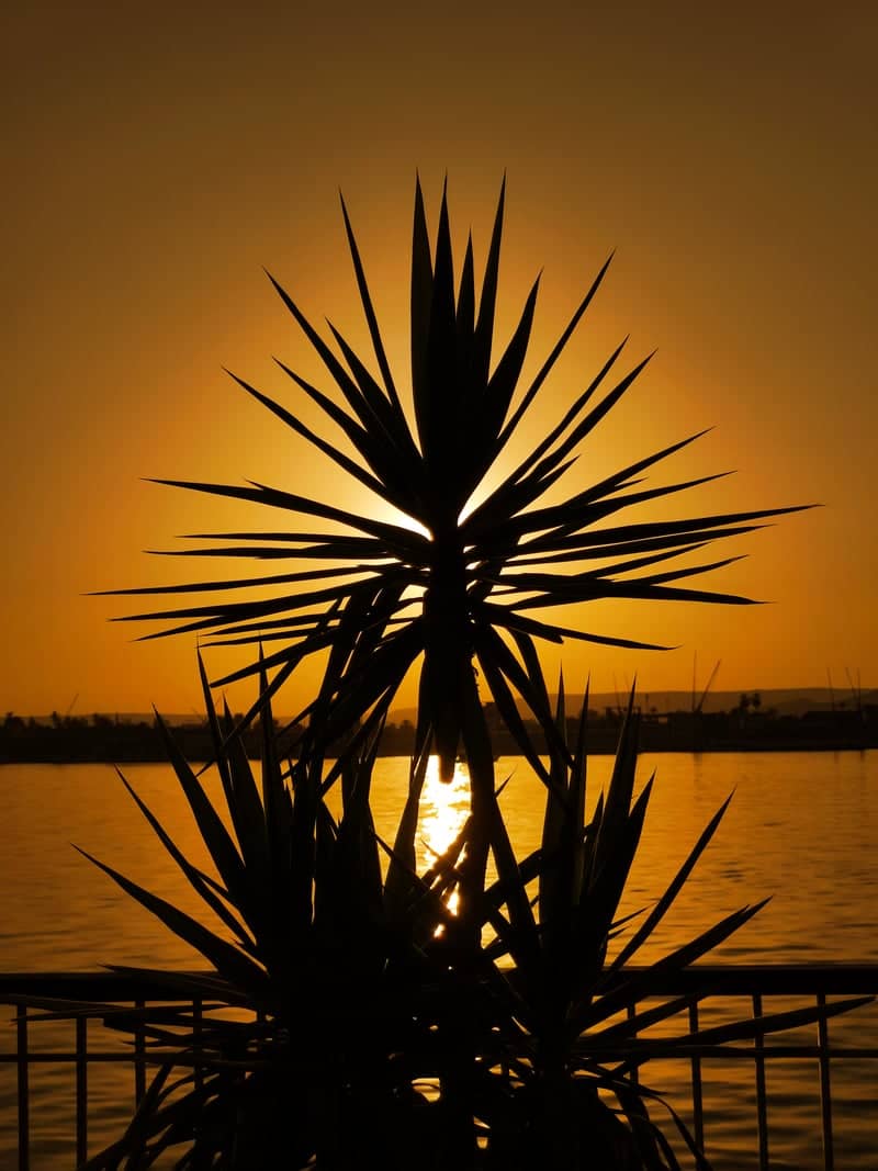 Dakhla Oasis Sunset Overlook - Image 1