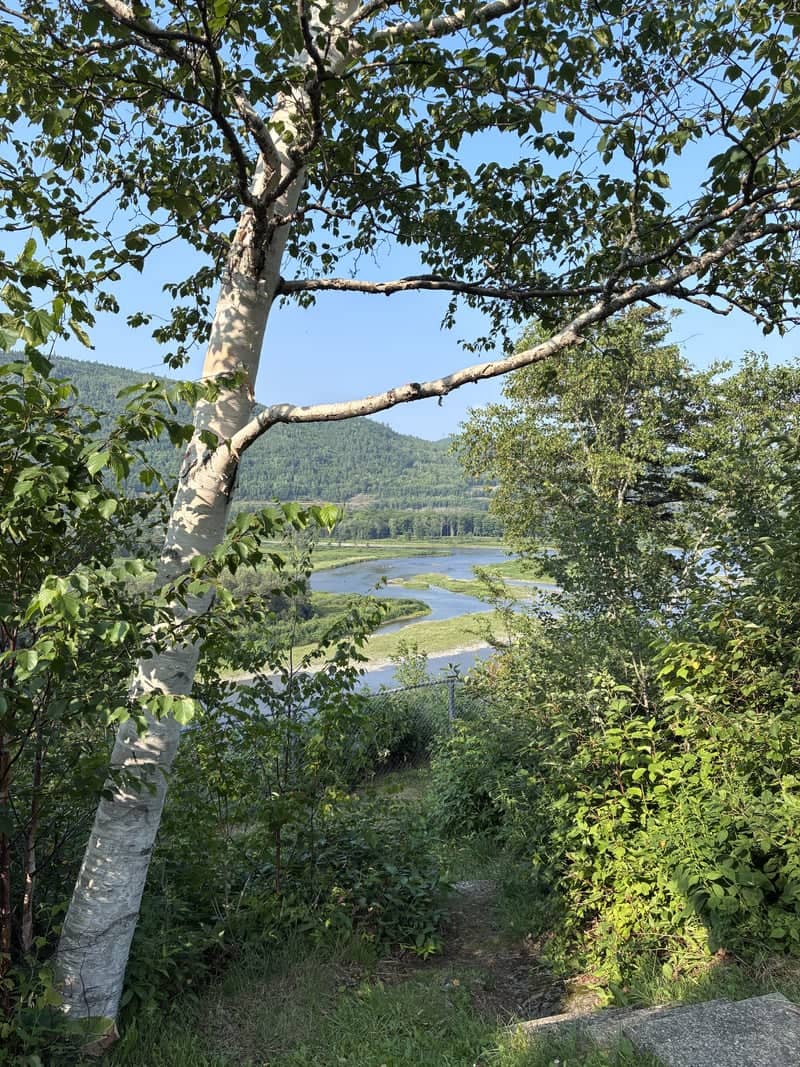 Restigouche River Lookout - Image 1