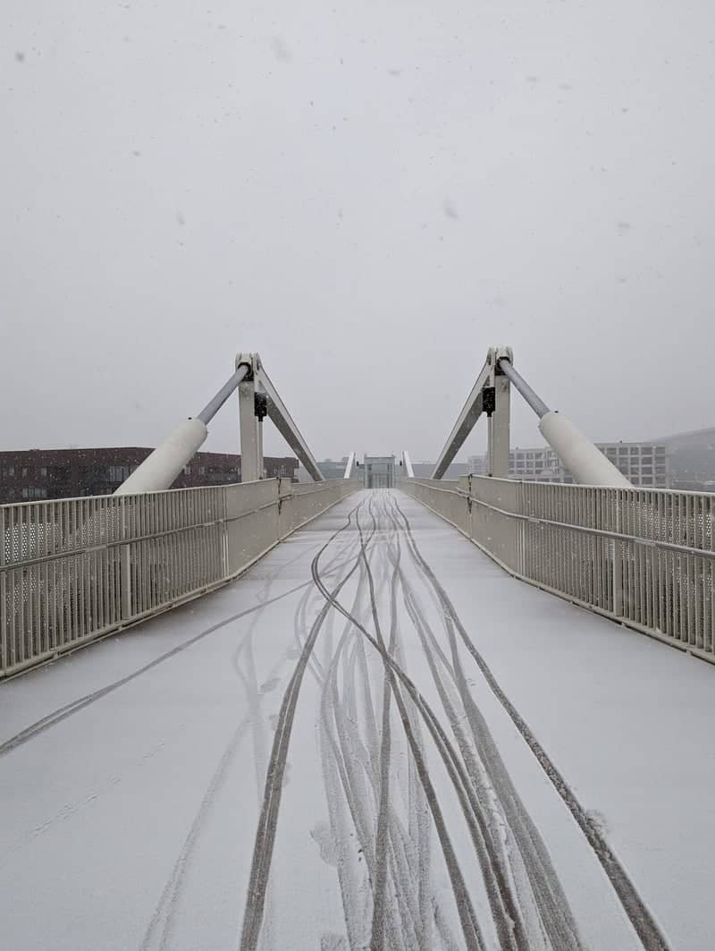Salanganebrug Pedestrian Bridge - Image 1