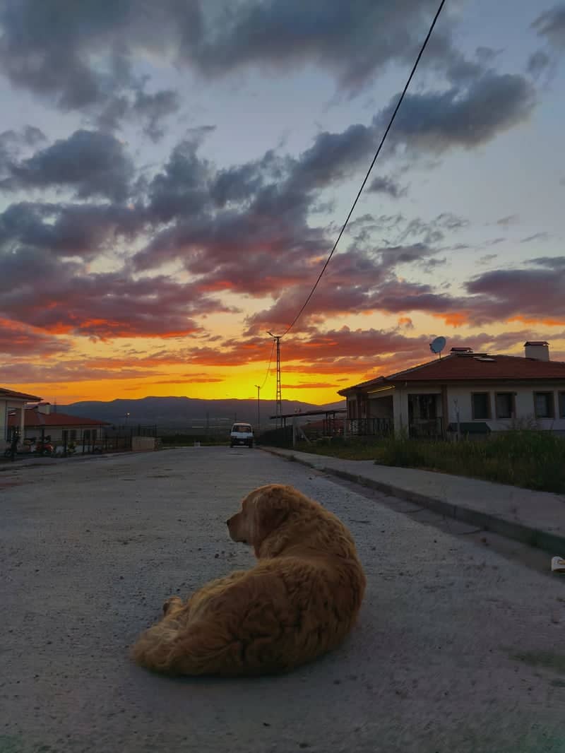 Karapınar Sunset Overlook - Image 1