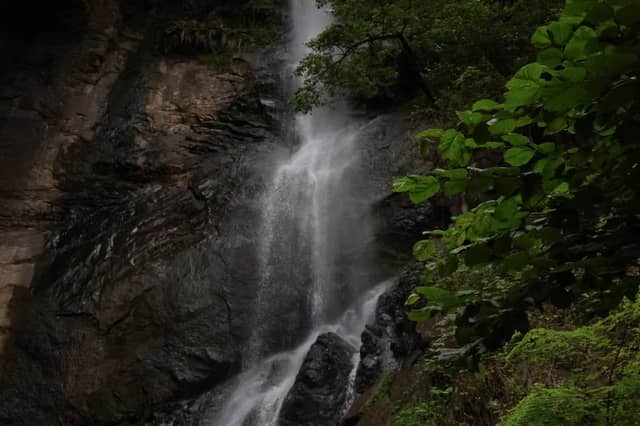 Makhuntseti Waterfall - Image 1