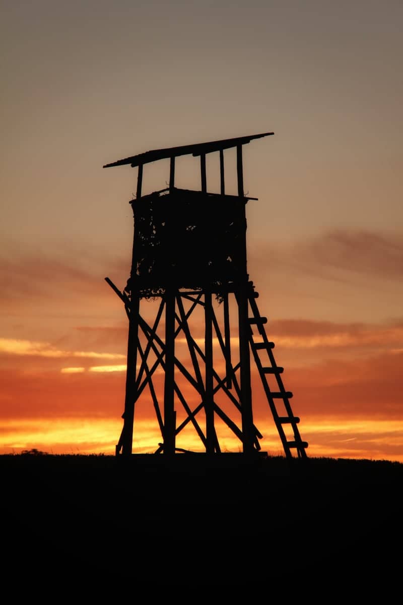 Halsbrücke Hunting Stand - Image 1