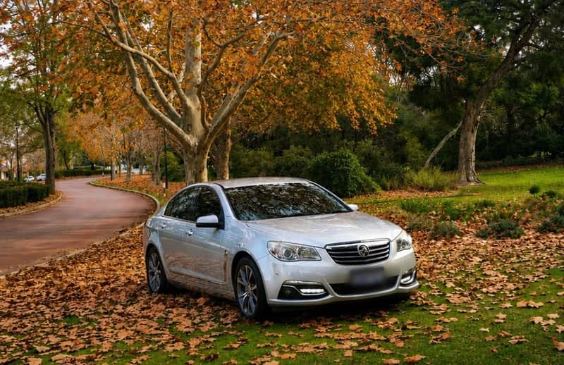 Canningvale Autumn Drive - Image 1