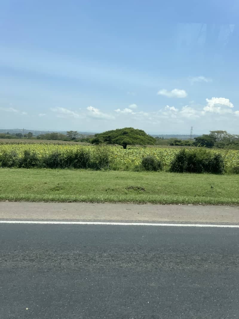 Kamagut Rural Landscape - Image 1