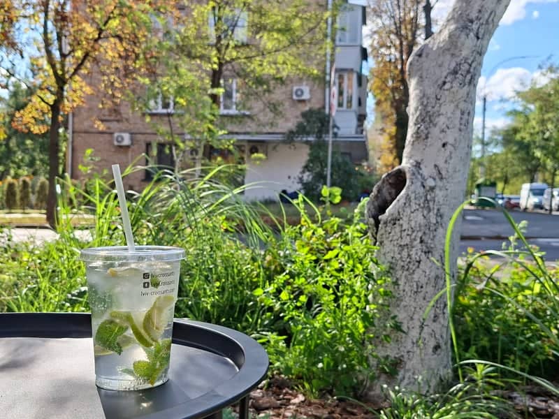 Shchusieva Street Greenery - Image 1
