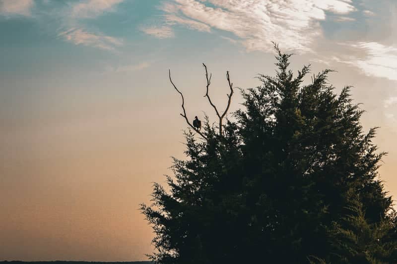 Augusta Countryside Nature Spot - Image 1