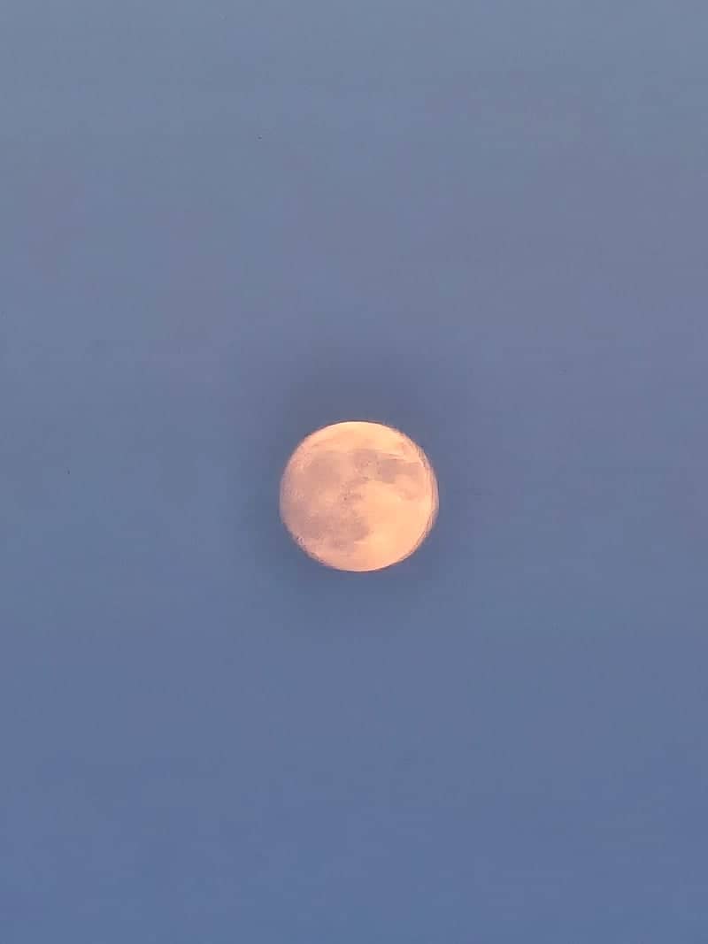 Newport Moon View - Image 1