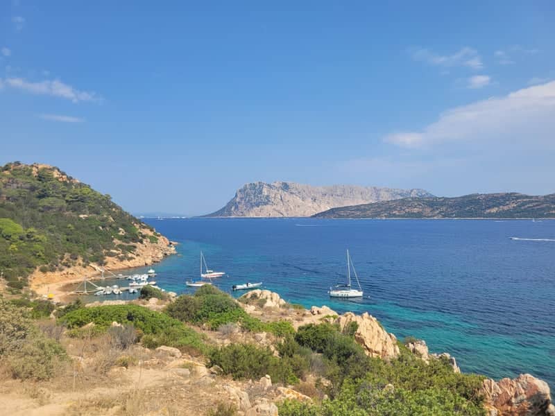 Tavolara Island Overlook - Image 1